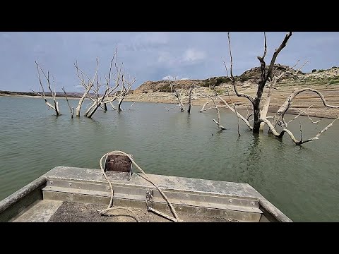 Giant Fish Live in THIS LAKE!! (Multiple Big Fish Caught)