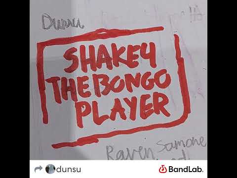 Shake for the Bongo Player