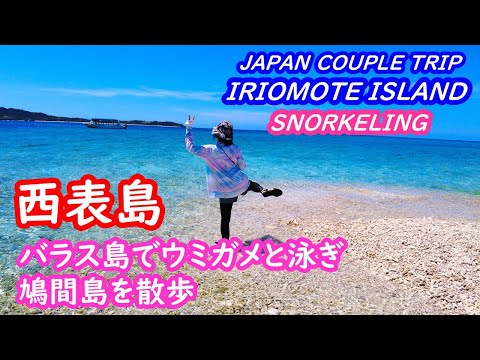 (Japan Trip) Okinawa Iriomote Island Swim with sea turtles and walk around Hatoma Island