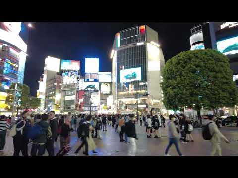 Daily Life in Japan | Busy Shibuya Crossing