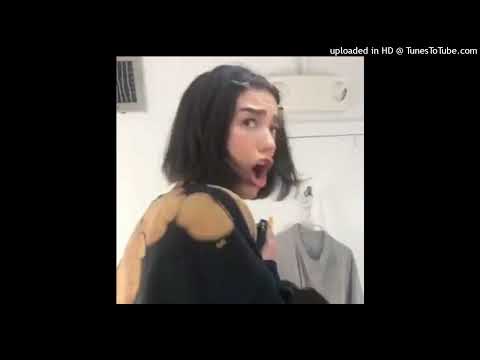 yes we cant - Dua Lipa Finds Shelter