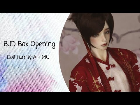 BJD Box Opening DFA - Mu with jointed hands