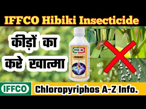 IFFCO Hibiki(Chlorpyriphos 50EC) A-Z Information | Insectice