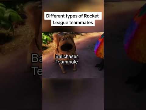 Which one are you? 🐶 #rocketleague #rlmoments #rocketleagueclips