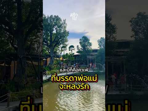 🐰ฟาร์มคาเฟ่สุดชิลติดธรรมชาติ #เที่ยวไหนดี #เที่ยวคาเฟ่ #ฟาร์มแกะ #เที่ยวไทย  #มาแล้วก็ไป  #เที่ยว