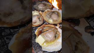 Scallops Butter Rice【Solo Camping】#shorts