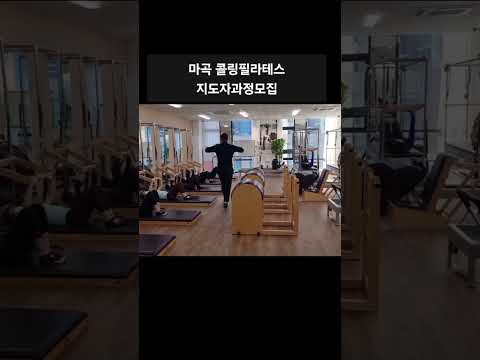 #마곡필라테스 #발산필라테스 #콜링필라테스 #동기부여 #클래식필라테스 #강서구필라테스 #필라테스지도자과정 #필라테스운동 #필라테스강사 #필라테스 #shorts