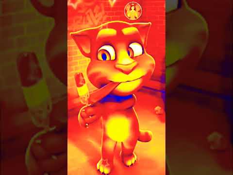 talking tom cat #shorts billi dance talking ginger #cat billi wala cartoon talking tom & friends