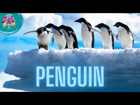 Dive into the World of Penguins: Uncover Their Incredible Secrets