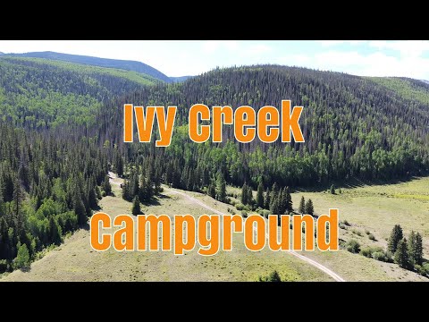 Ivy Creek Campground - Creede Colorado