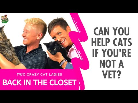 Back In The Closet Podcast | Are You Vets? | Two Crazy Cat Ladies