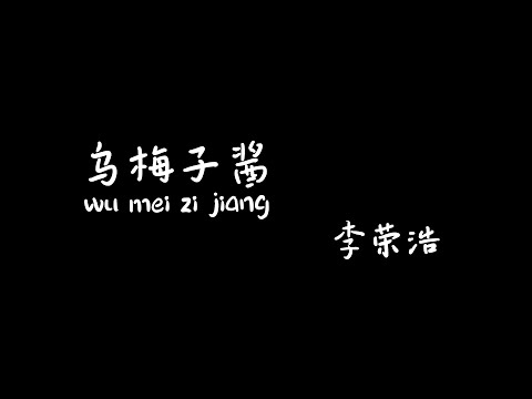 乌梅子酱 wumeizijiang 李荣浩 【Pinyin+Lyrics+Karaoke 歌词伴奏】（你浅浅的微笑就像 ...我尝了你嘴角唇膏 薄荷味道...厚厚的甜蜜感...合照一张和夕阳）