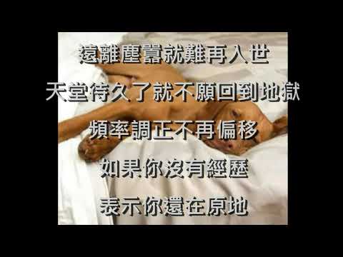 奧麗佛語錄 20210614【奧麗佛身心靈成長開發中心】