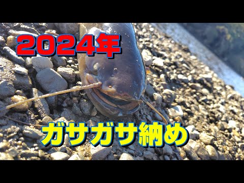 2024年　ガサガサ納め