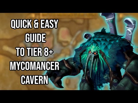 THE ULTIMATE GUIDE TO TIER 8+ DELVES: MYCOMANCER CAVERN: GEAR, BRANN BUILD & MORE: WAR WITHIN