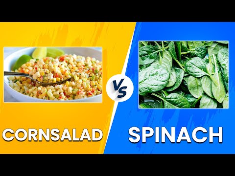 Cornsalad vs Spinach - Nutritional Values Compared! (Learn Their Benefits And Differences!)