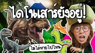 ไดโนเสาร์ไม่ได้หายไปไหน แต่แฝงตัวในโลกของเรา  | Point of View