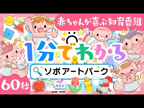 【ママパパ向け】1分でわかるソポアートパークCM・ファミリー向け知育番組【公式】