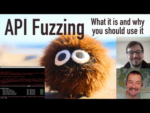 API Fuzzing: What it is and why you should use it