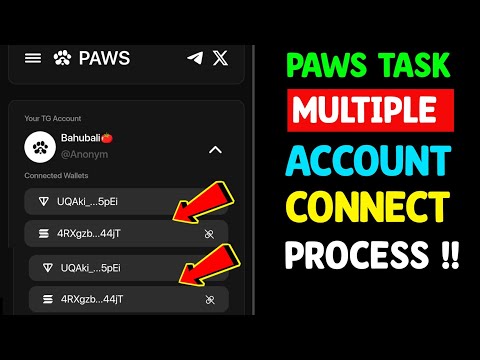 Paws Multiple Accounts Wallet Connect Process | Paws Phantom Wallet Connect Problem | Paws Wallet