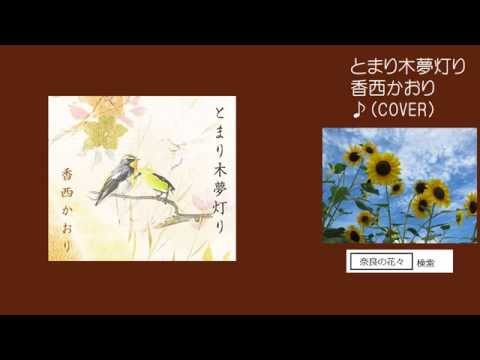 とまり木夢灯り　香西かおり　♪COVER　uguis karaoke