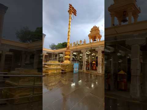 Shri Perumal Swamy Temple Mahabalipuram #shorts #youtubeshorts #trending