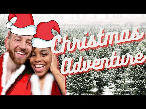 Christmas Tree Adventure | Hanging with the Hamiltons