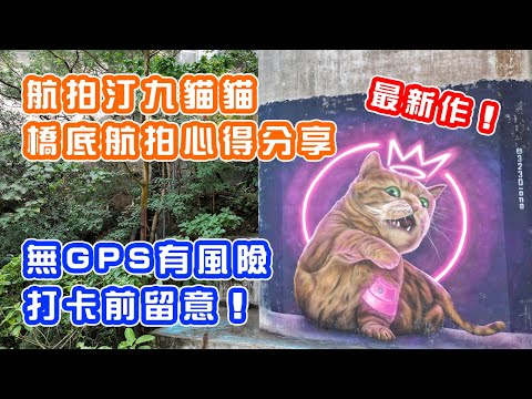 【航拍汀九貓貓】俄國塗鴉藝術家最新作 | 橋底飛行心得分享 | 大帽山貓貓 | 汀九貓 | 步行10分鐘即可到達