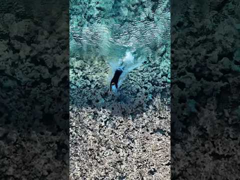 Bodysurfing the clearest water in the world!