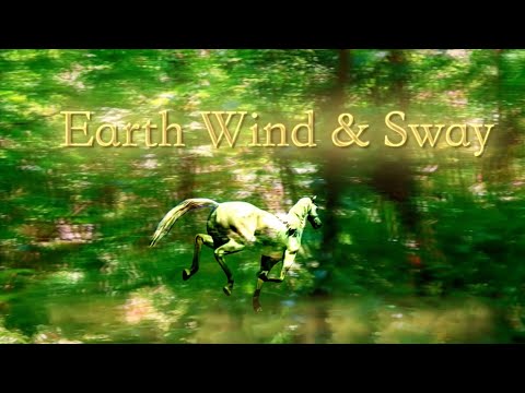 【MV】Earth Wind & Sway - shamanriyo