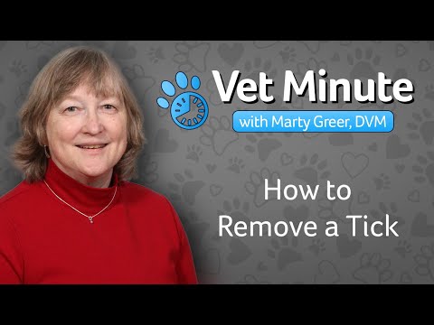 How to Remove a Tick From a Dog