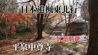 Japan’s Northeast Trip to Chasing Maple｜Hiraizumi Chusonji Temple#Red Leaf Resort