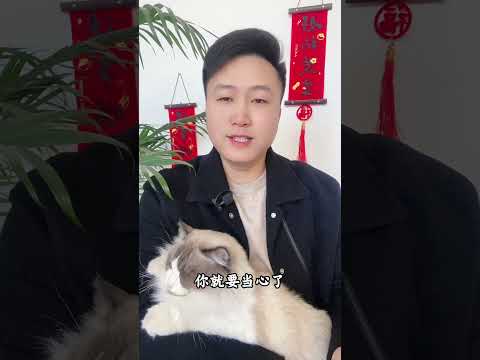 猫咪眼睛的秘密，你知道吗？养猫经验分享 科学养宠攻略 养猫人 新手养猫  养猫知识