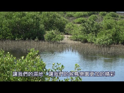 台南市將軍區馬沙溝社區發展協會 生態調查行銷宣傳影片