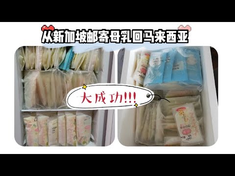 新加坡生活 ll 我成功把母乳运回马来西亚啦!!!