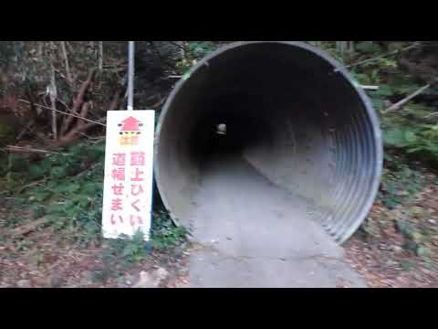 掛川市　岩谷隧道