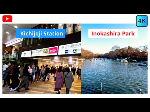 [4K] Tokyo walking tour Kichijoji station– AMAZING VIEW at Inokashira Park  (Dec. 2022)