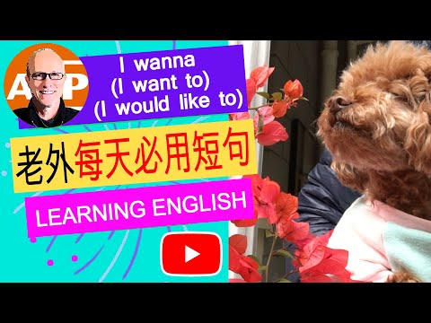 58个 "I wanna (I want to)(I would like to)" 日常英语交流实用短语 // 真实语音 （160）