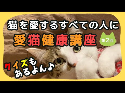 【猫しもべ検定(ΦωΦ)】「猫を愛する全ての人」に！愛猫健康講座のご紹介(第２回)