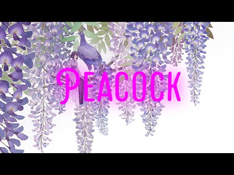 Ilysian - Peacock (with StormKloud)