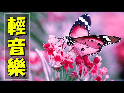 【非常好听】🎷🎷週末聽50首最好的老音樂 🌺早上最適合聽的輕音樂 🎵 每天調心洗滌心性 - 薩克斯風 - 無廣告音樂  - 轻音乐 - 探戈老歌 Old Taiwanese Music