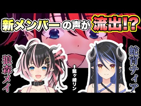 【閲覧注意】先輩(笑)が新メンバーのアテレコをする【 龍ヶ崎リン /狼森メイ/蛇宵ティア/シュガリリ/切り抜き/Vtuber】