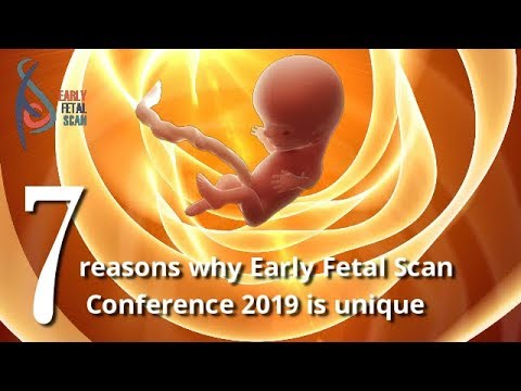 Early Fetal Scan Conference 2019