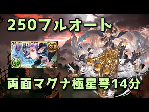 【グラブル】風古戦場250hellフルオート 両面マグナ編成 14分前後【2024】