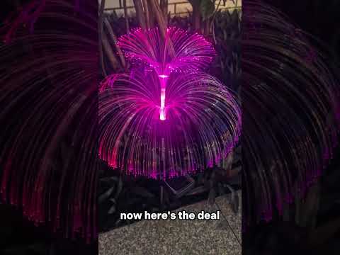 Jellyfish garden lights review