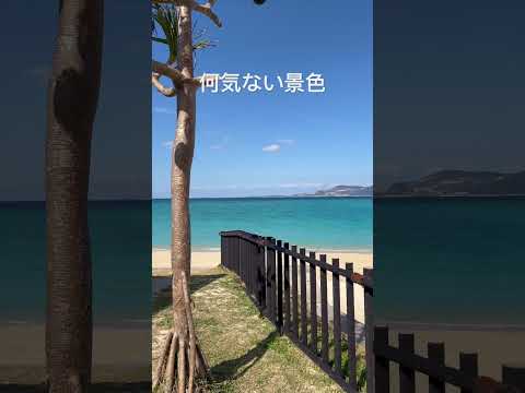 沖縄本島北部の何気ない景色