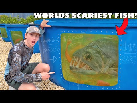 I Bought the World’s SCARIEST Aquarium Fish!