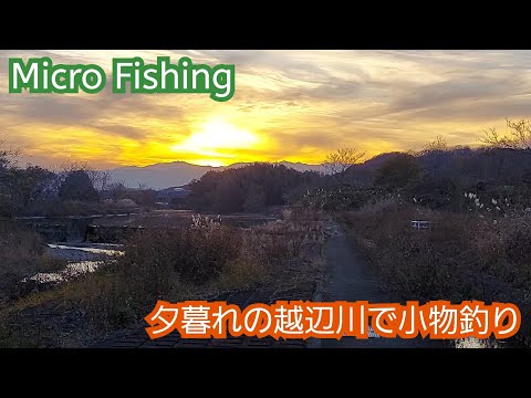 【Micro Fishing】埼玉の越辺（おっぺ）川で小物釣り