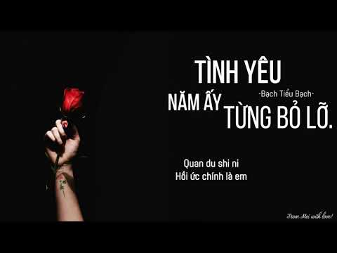 [Vietsub + Pinyin] Tình Yêu Năm Ấy Từng Bỏ Lỡ - Bạch Tiểu Bạch