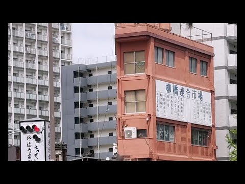 柳橋連合市場 |20240502